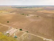 DASCALU – TEREN INTRAVILAN 11300 MP, INVESTITIE!
