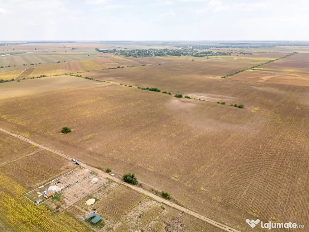 DASCALU – TEREN INTRAVILAN 11300 MP, INVESTITIE! - Dascalu (Bucuresti-Ilfov)