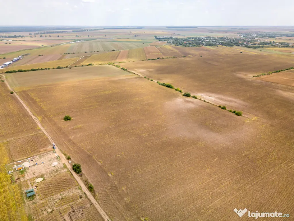DASCALU – TEREN INTRAVILAN 11300 MP, INVESTITIE! - Dascalu (Bucuresti-Ilfov)