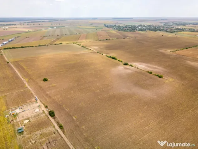 DASCALU – TEREN INTRAVILAN 11300 MP, INVESTITIE! - Dascalu (Bucuresti-Ilfov)
