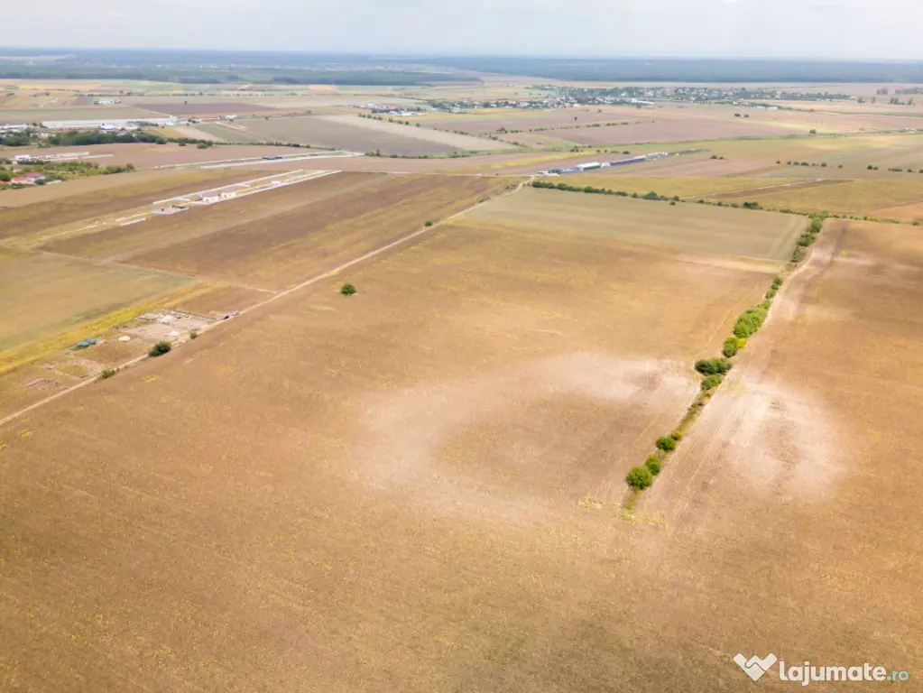 DASCALU – TEREN INTRAVILAN 11300 MP, INVESTITIE! - Dascalu (Bucuresti-Ilfov)