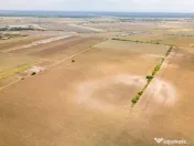 DASCALU – TEREN INTRAVILAN 11300 MP, INVESTITIE!