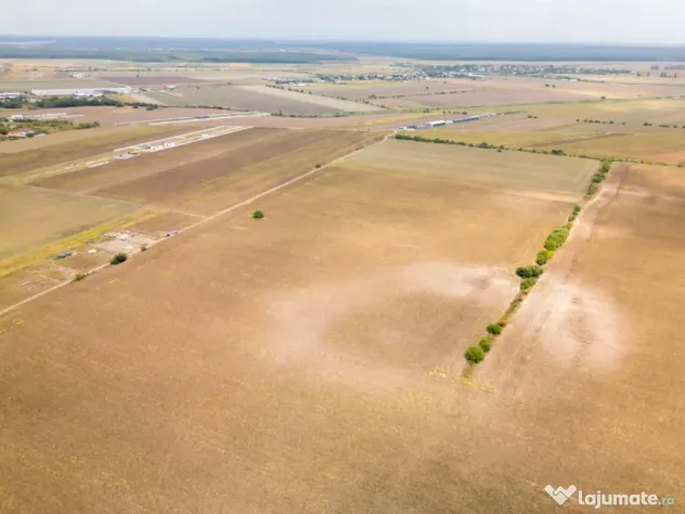 DASCALU – TEREN INTRAVILAN 11300 MP, INVESTITIE! - Dascalu (Bucuresti-Ilfov)