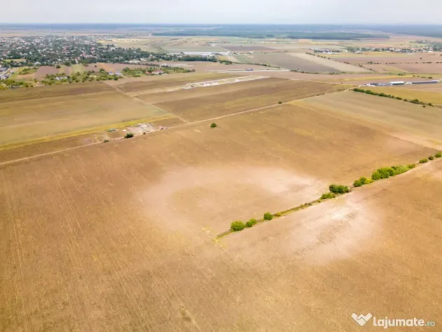 DASCALU – TEREN INTRAVILAN 11300 MP, INVESTITIE! - Dascalu (Bucuresti-Ilfov)