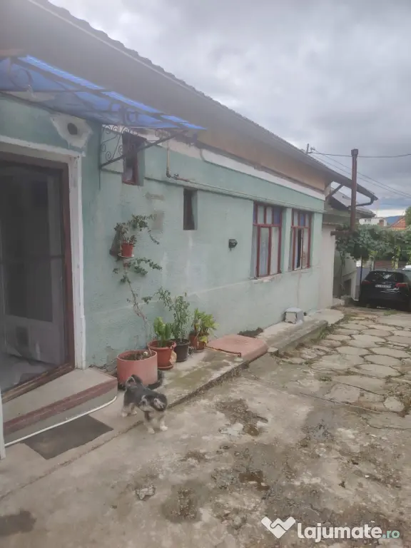 Vând 2 case locuibile cu livadă