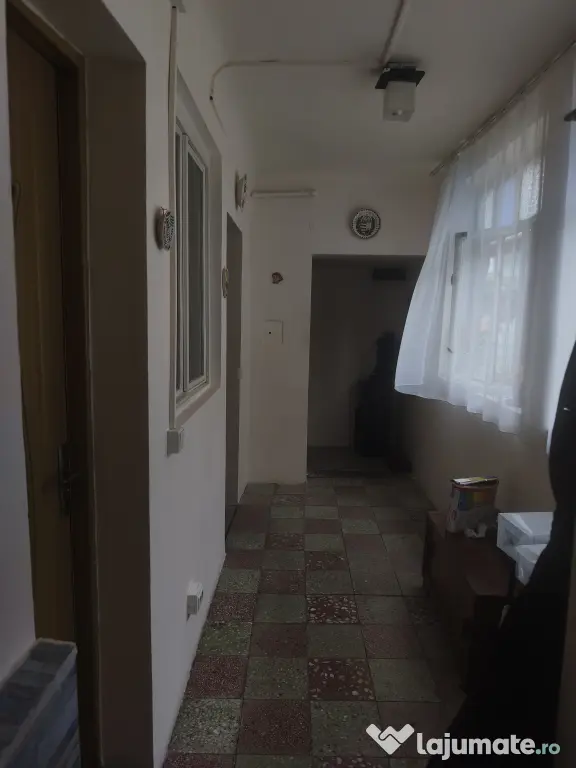 Vând 2 case locuibile cu livadă
