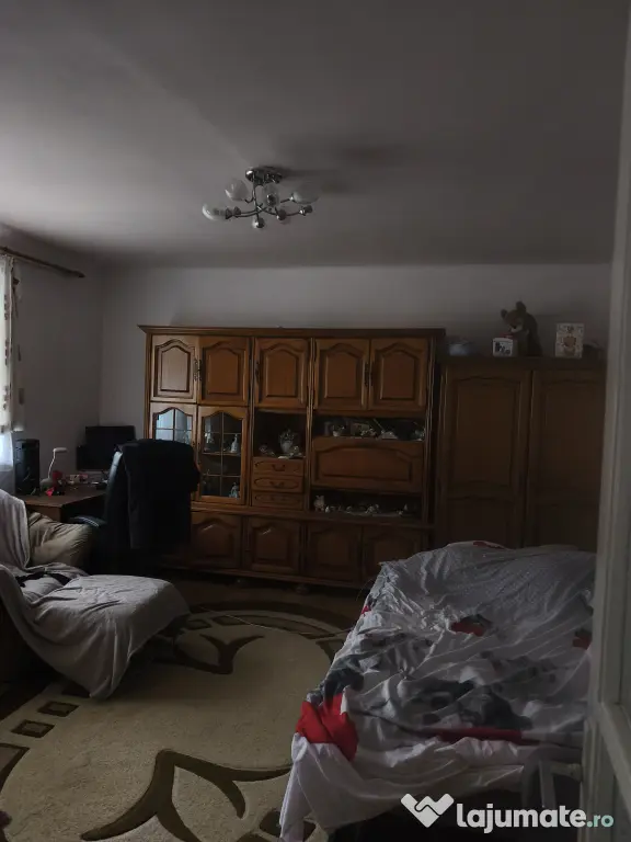 Vând 2 case locuibile cu livadă