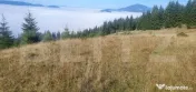 Teren extravilan, 50.000 mp, zona Vatra Dornei