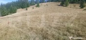 Teren extravilan, 50.000 mp, zona Vatra Dornei