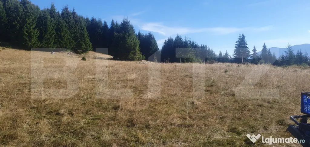 Teren extravilan, 50.000 mp, zona Vatra Dornei - Vatra Dornei (Suceava)