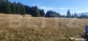 Teren extravilan, 50.000 mp, zona Vatra Dornei
