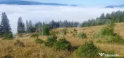 Teren extravilan, 50.000 mp, zona Vatra Dornei