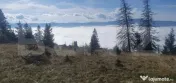 Teren extravilan, 50.000 mp, zona Vatra Dornei
