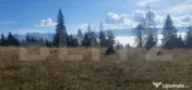 Teren extravilan, 50.000 mp, zona Vatra Dornei