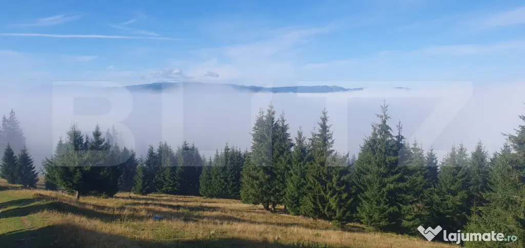 Teren extravilan, 50.000 mp, zona Vatra Dornei - Vatra Dornei (Suceava)