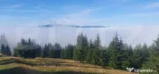 Teren extravilan, 50.000 mp, zona Vatra Dornei