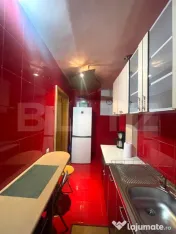 Apartament 2 camere, la cheie, C-tin Brancusi