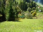 Teren Dambovicioara 6000 mp Ideal Investitie 