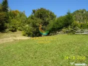Teren Dambovicioara 6000 mp Ideal Investitie 