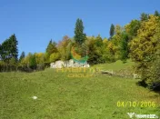 Teren Dambovicioara 6000 mp Ideal Investitie 