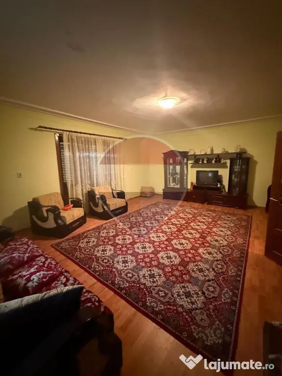 De vanzare Doua case , teren 7500 mp si anexe gospodaresti - Brebeni (Maramures)