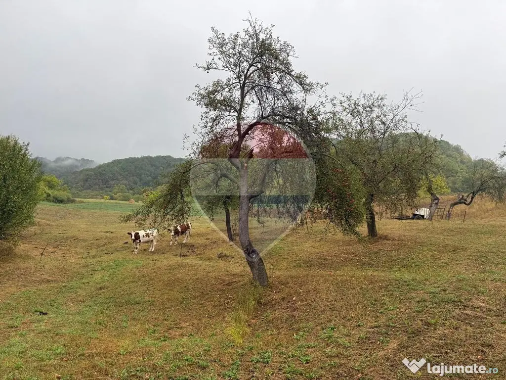 De vanzare Doua case , teren 7500 mp si anexe gospodaresti - Brebeni (Maramures)