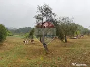 De vanzare Doua case , teren 7500 mp si anexe gospodaresti 