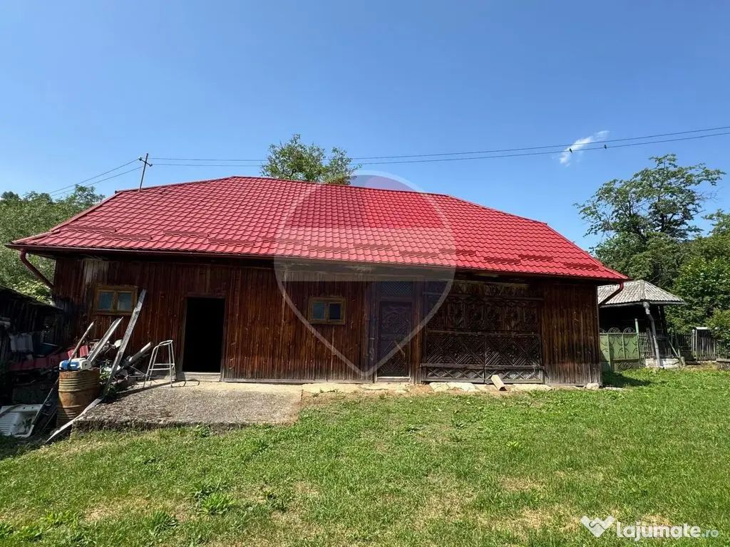 De vanzare Doua case , teren 7500 mp si anexe gospodaresti - Brebeni (Maramures)
