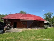 De vanzare Doua case , teren 7500 mp si anexe gospodaresti 