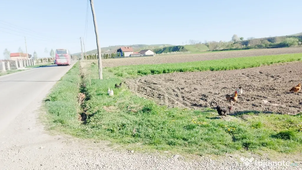 teren în comuna Blagesti, Bacau