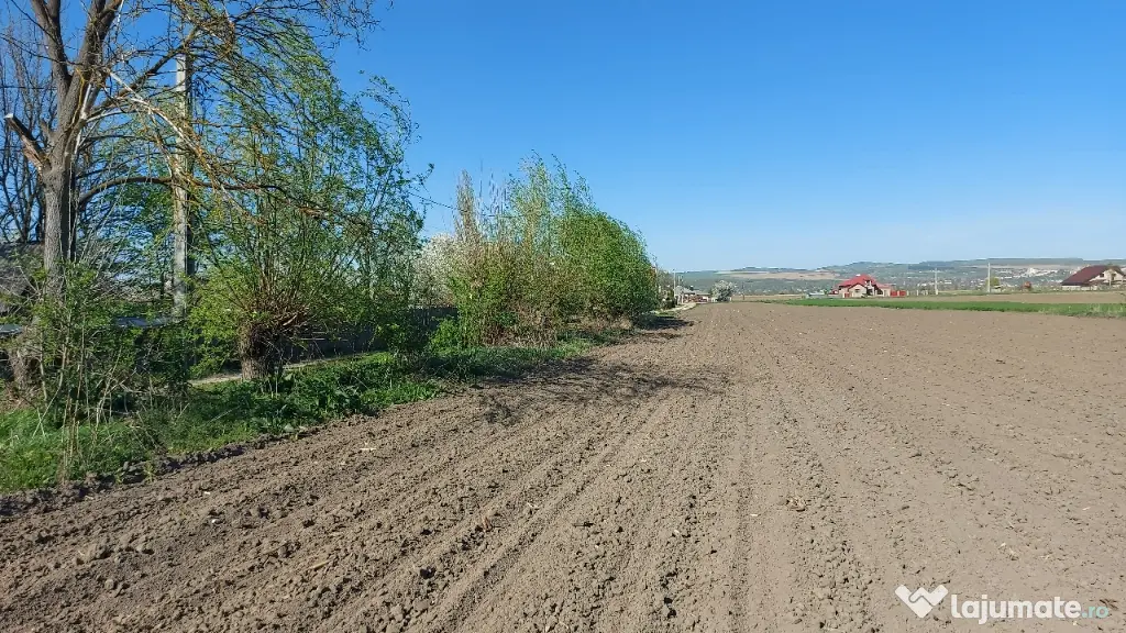 teren în comuna Blagesti, Bacau