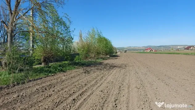 teren în comuna Blagesti, Bacau