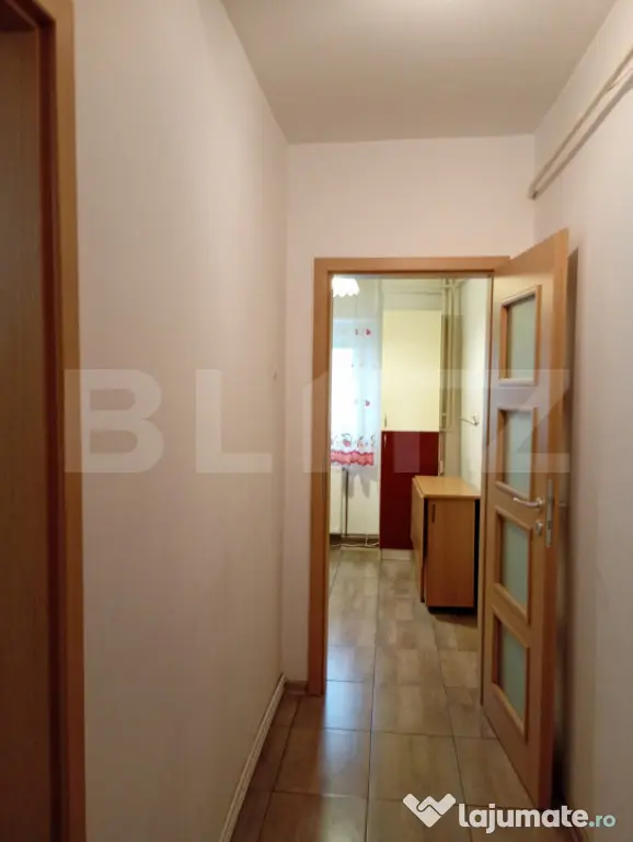 Apartament 2 Camere Alexandru cel Bun - Iasi (Iasi)