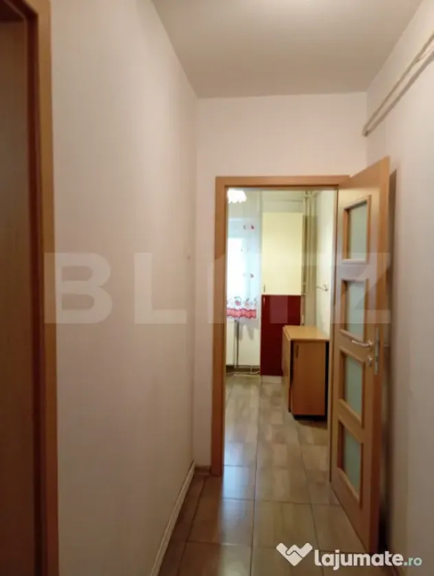 Apartament 2 Camere Alexandru cel Bun - Iasi (Iasi)