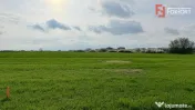 Parcela de teren intravilan de vanzare, 502 mp - Sacalaz 