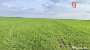Parcela de teren intravilan de vanzare, 502 mp - Sacalaz 