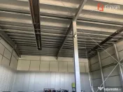 Hala industriala 380 mp + 40 mp de birou, zona - Calea Sagul 