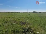 Teren de 5000 mp de vanzare in Mosnita Veche