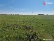 Teren de 5000 mp de vanzare in Mosnita Veche 