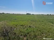 Teren de 5000 mp de vanzare in Mosnita Veche 