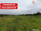 COMISION 0% Teren intravilan 2978 mp la sosea | Sanmihaiu Ge