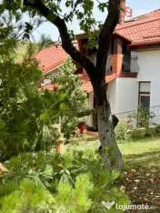 Casa individuala cu 5 camere si teren de 1 hectar - Ghioroc 