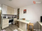 Apartament cu o camera de vanzare in Timisoara, zona Lipovei 