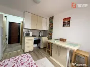 Apartament cu o camera de vanzare in Timisoara, zona Lipovei 