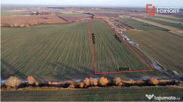 Teren extravilan arabil 50.890mp - aproape de centura Timiso - Giroc (Timis)