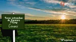 Teren intravilan de vanzare, Covaci - Utilitati in zona