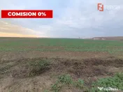 COMISION 0% Teren extravilan agricol 10.000 mp la sosea in S