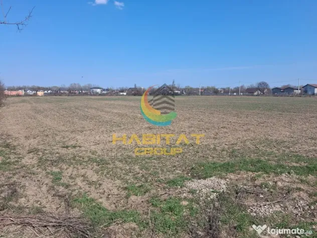 Vanzare teren industrial, 5720mp, deschidere 18m, Magurele, Ilfov - Magurele (Bucuresti-Ilfov)