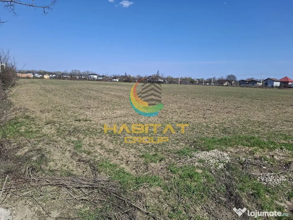 Vanzare teren industrial, 5720mp, deschidere 18m, Magurele, Ilfov - Magurele (Bucuresti-Ilfov)