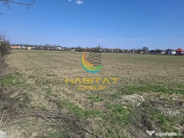 Vanzare teren industrial, 5720mp, deschidere 18m, Magurele, Ilfov - Magurele (Bucuresti-Ilfov)